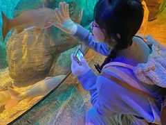 -沈阳海洋探索中心