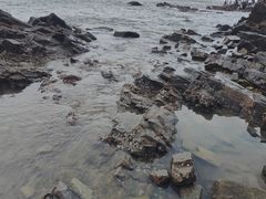 -日照海滨国家森林公园