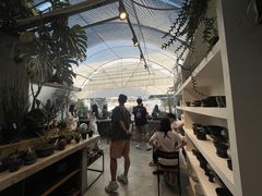 -自由生长植物工作室(深港花卉中心店)