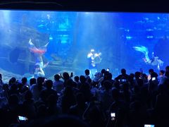 -江和美海洋公园