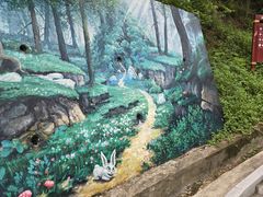 -板樟山森林公园