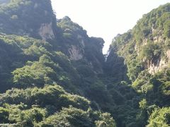 -少华山国家森林公园