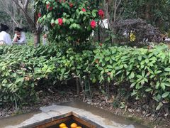 -深业半汤御泉庄温泉