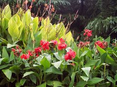 -昆山城市生态森林公园