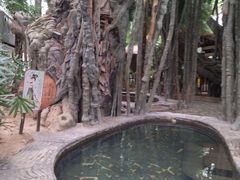 -龙达温泉生态城