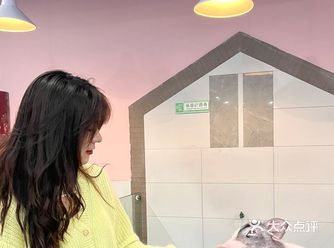 杭州探店｜超好拍的萌宠馆，一起来撸宠物了