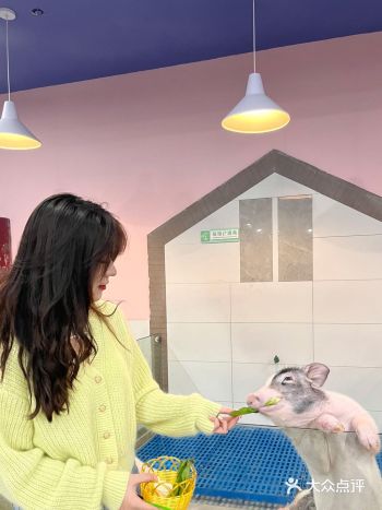 杭州探店｜超好拍的萌宠馆，一起来撸宠物了