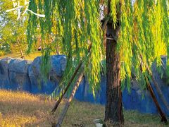 -祥源·阜阳生态乐园