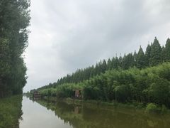 -黄海国家森林公园