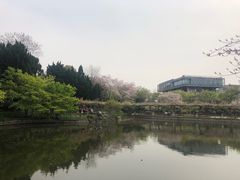-嘉定紫藤园