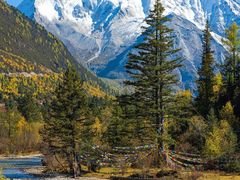 -靖西鹅泉风景区