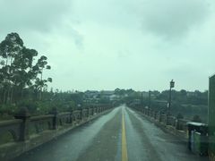 -三圣花乡旅游区