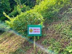 -广州市帽峰山景区
