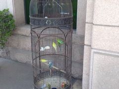 -老味道民宿(栈桥店)