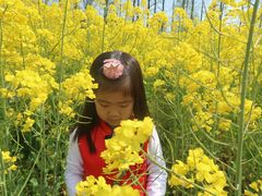 -前小桔亲子创意农场·草莓采摘·露营烧烤