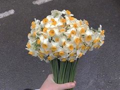 -咬不得高祖生煎·简餐(城站店)