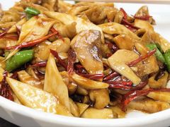 -丁老爷子苏香圆