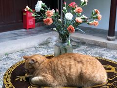 -西园戒幢律寺