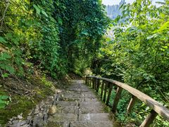 -龙泉洞(沙坪坝区)
