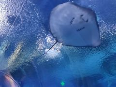 -上海海昌海洋公园
