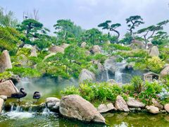 -罗红摄影艺术馆