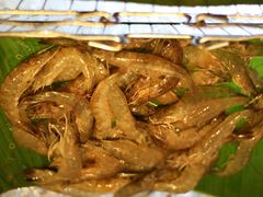 -马哥孛罗咖啡厅·Cafe Marco (厦门马哥孛罗东方大酒店)