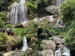 -大围山国家森林公园