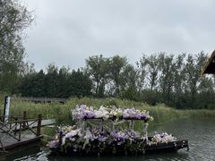 -溱湖国家湿地公园