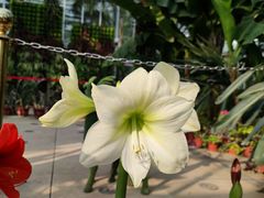 -国家植物园南园