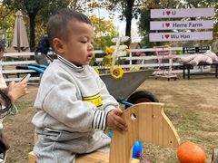 -HERRE·FARM 赫尔露营农场·团建聚会包场