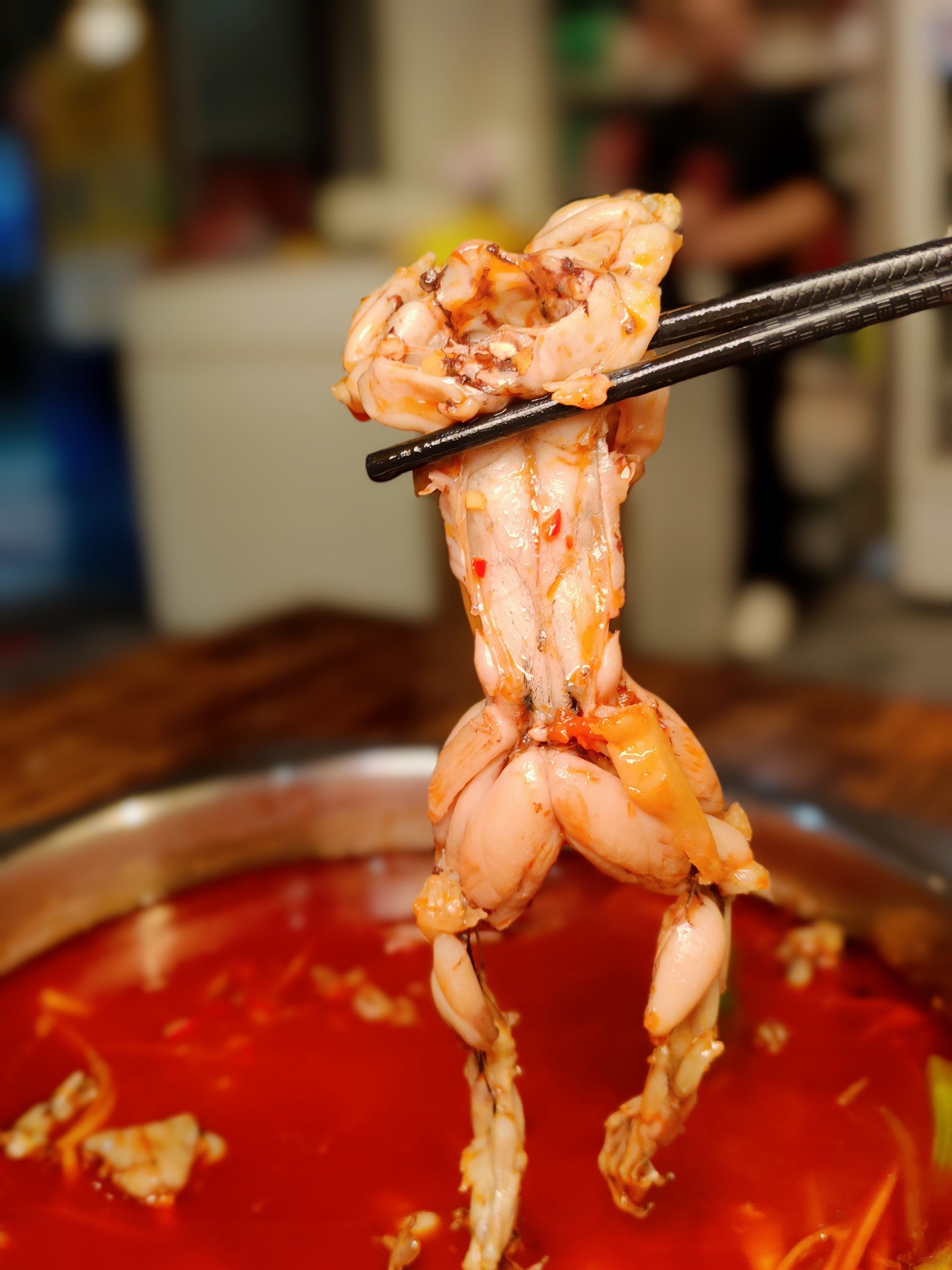 的美蛙,911569♂15蛙蛙们个个都是"健美选手",蛙腿紧实饱满