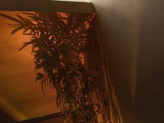 -宁采臣Sleep·采耳·SPA放松馆(湖里万达店)