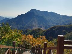 -大岭沟猕猴桃谷风景区