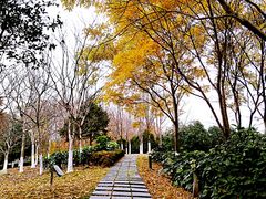 -白塘生态植物园