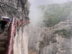 -鹿院坪生态旅游景区