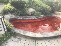-杭州第一世界大酒店·云曼温泉