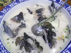 -全乐鱼馆·淳牌有机鱼直营店
