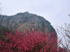 -雁荡山灵峰景区