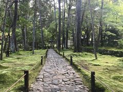 -西芳寺(苔寺)