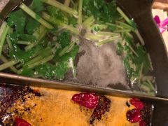 -盡膳口福跷脚牛肉火锅(合生汇购物中心店)