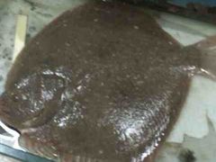 多宝鱼-京港生鲜(四道口店)