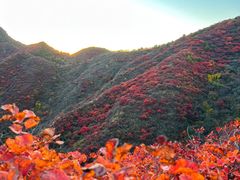 -水峪民俗村