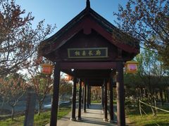 -东台西溪天仙缘景区