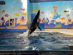 -太平洋海底世界