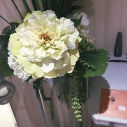 -海茱雅科技健康美容