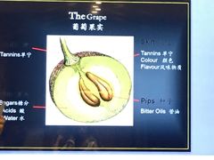 -葡萄酒溯源地(众润家园店)