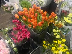 -循礼门鲜花花市(武汉循礼门店)