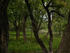 -西溪国家湿地公园