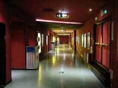 -大地影院(合肥铜陵路桥店)