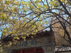 -老张烤羊(王哥庄店)